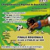 lbvb_affiche_bbvt_2015_grande