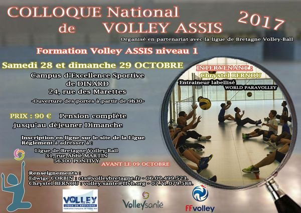 lbvb_colloquevolleyassis_2017_affiche